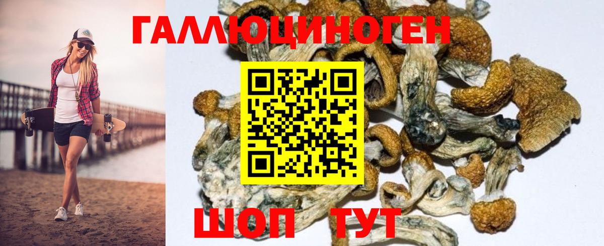 Псилоцибиновые грибы Cubensis  закладки  Дятьково  Вход с VPN 