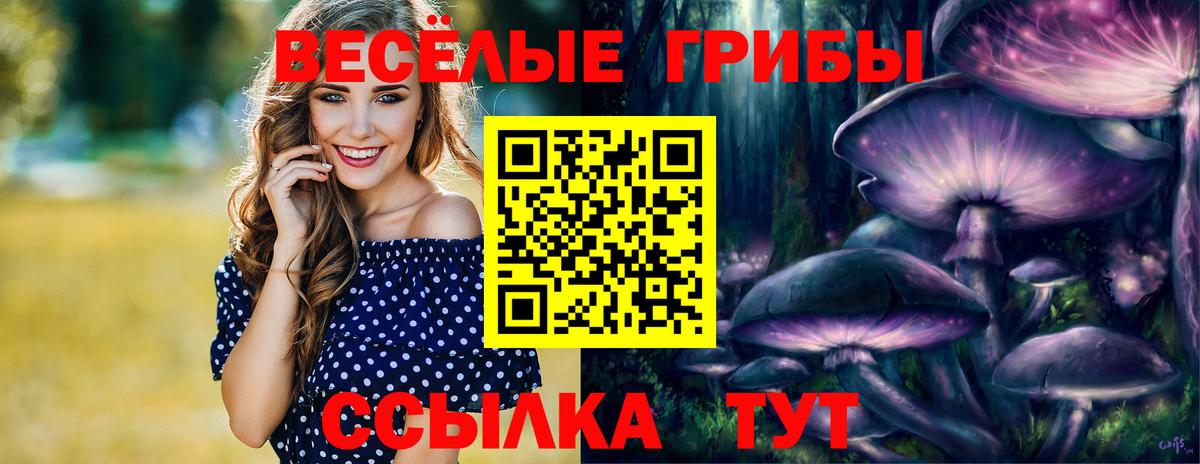 Псилоцибиновые грибы ЛСД Дятьково